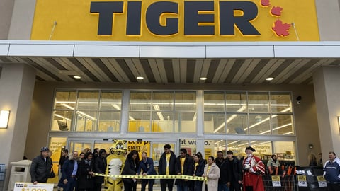 giant tiger vaughan