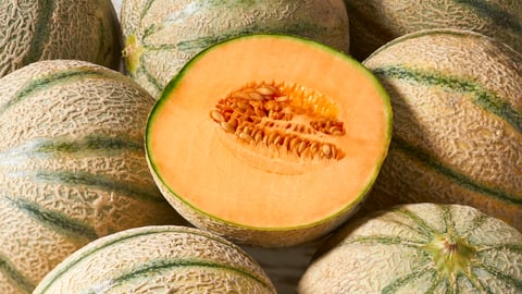 cantaloupe