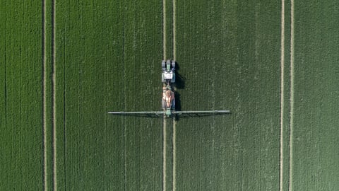 Glyphosate