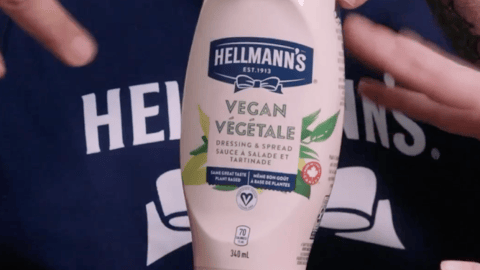 hellmann's vegan mayo