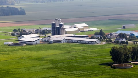 quebec farm