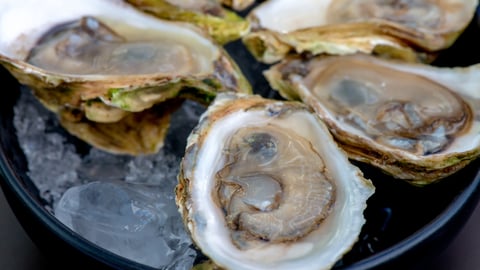 oysters on the half shell