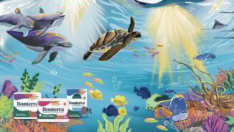 kruger products bonterra mural toronto