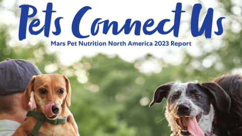 Mars Pet, two dogs and owners