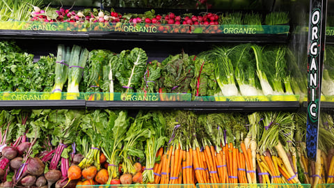 organic produce display in a grocery store