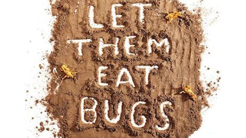 Jungle bar with cricket flour, and Chirpies cricket-based dog treats
