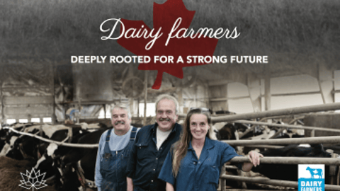 dairy-farmers-book-cover