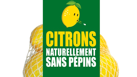 wonderful-citrus-seedless-lemon