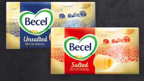 becel-bricks-product-shot