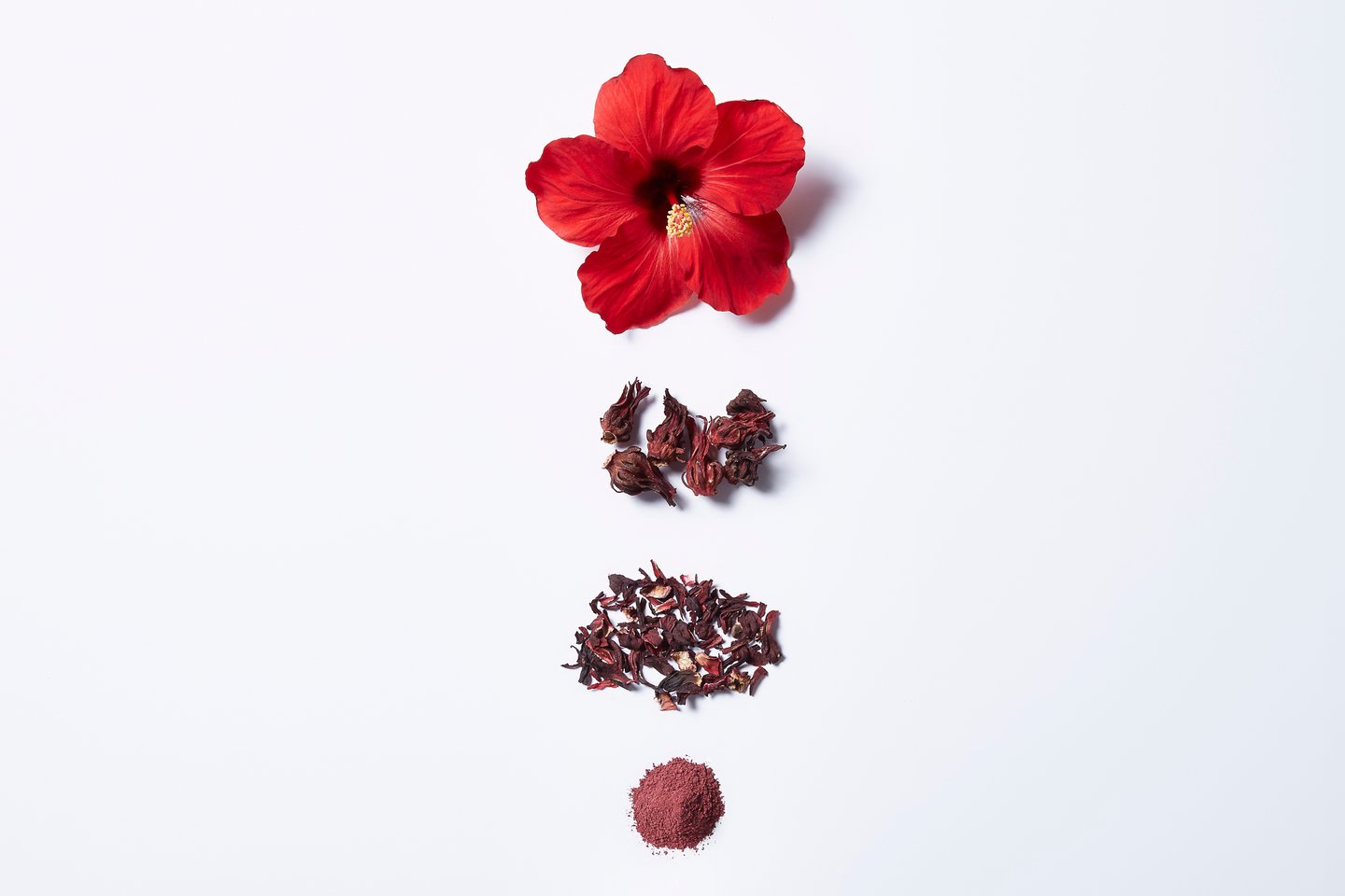 In white background, hibiscus flowers, hibiscus powder, dried hibiscus flowers, hibiscus tea.