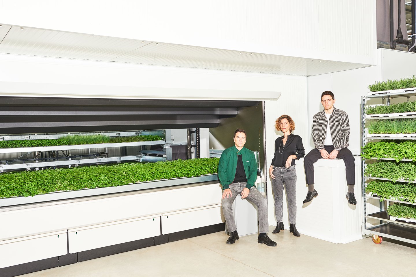 infarm indoor wheat farm