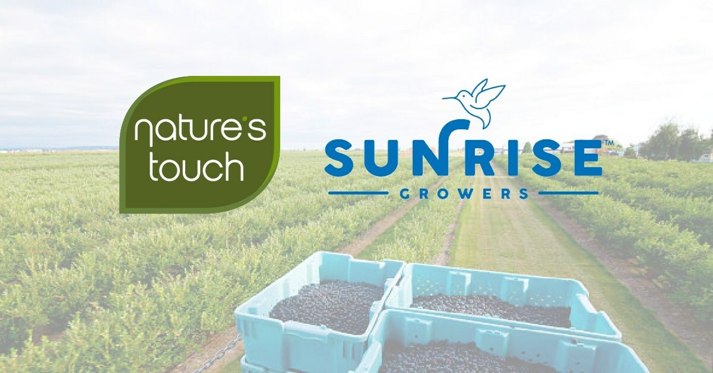 nature's touch x sunrise growers