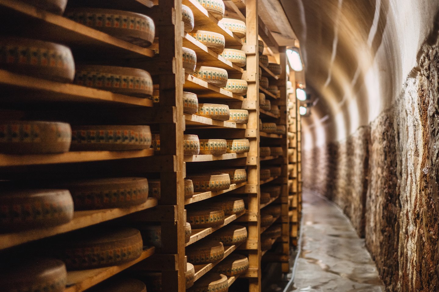 Shelves of cheese wheels in a cellar