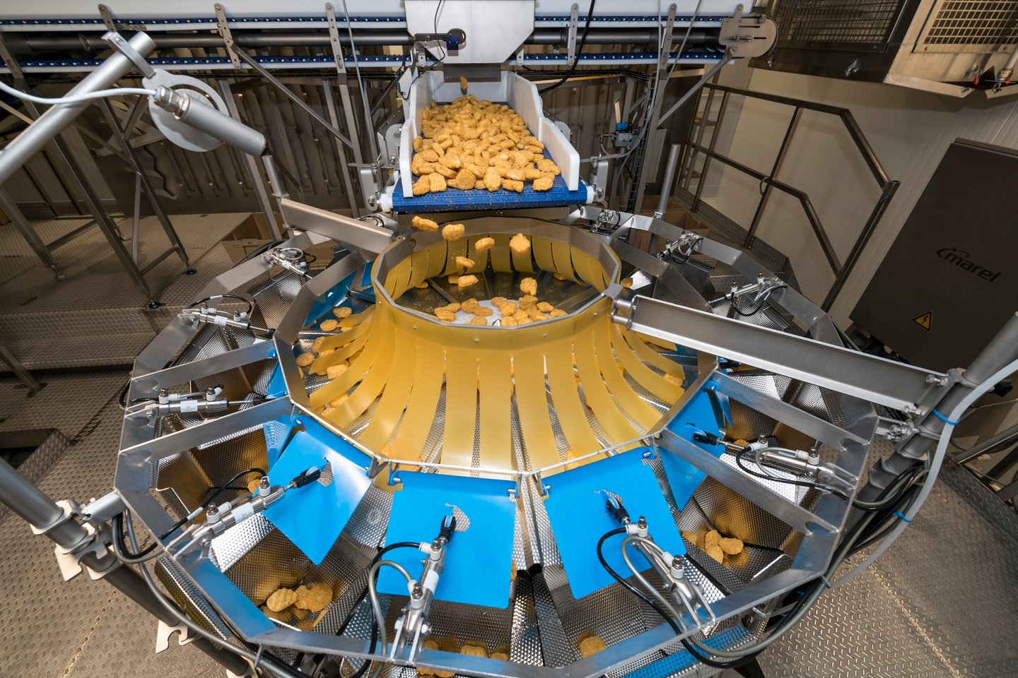 Chicken nuggets being produced in a factory
