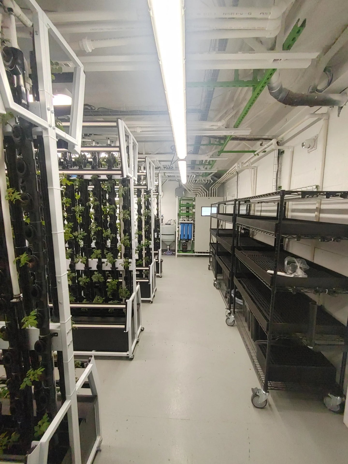 The Red Deer Food Bank's new indoor hydroponic farm. Photography courtesy NuLeaf Farms, Just Vertical and GlobalMedic