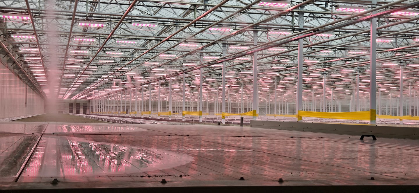 Haven Greens greenhouse Ontario