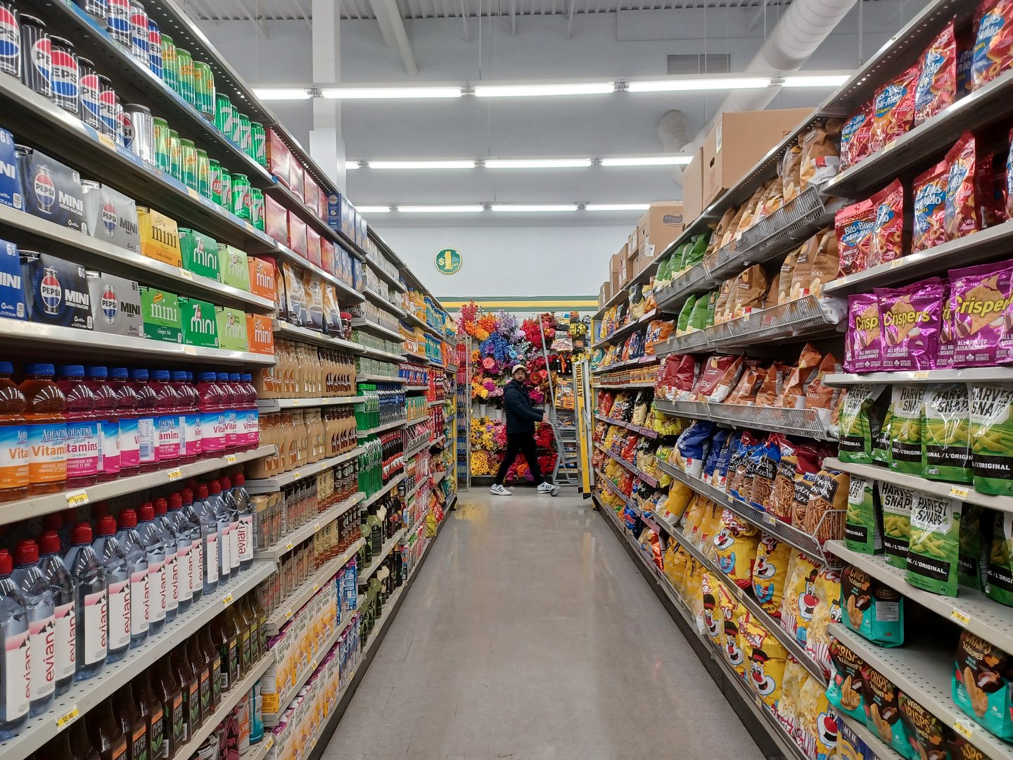 dollarama food section