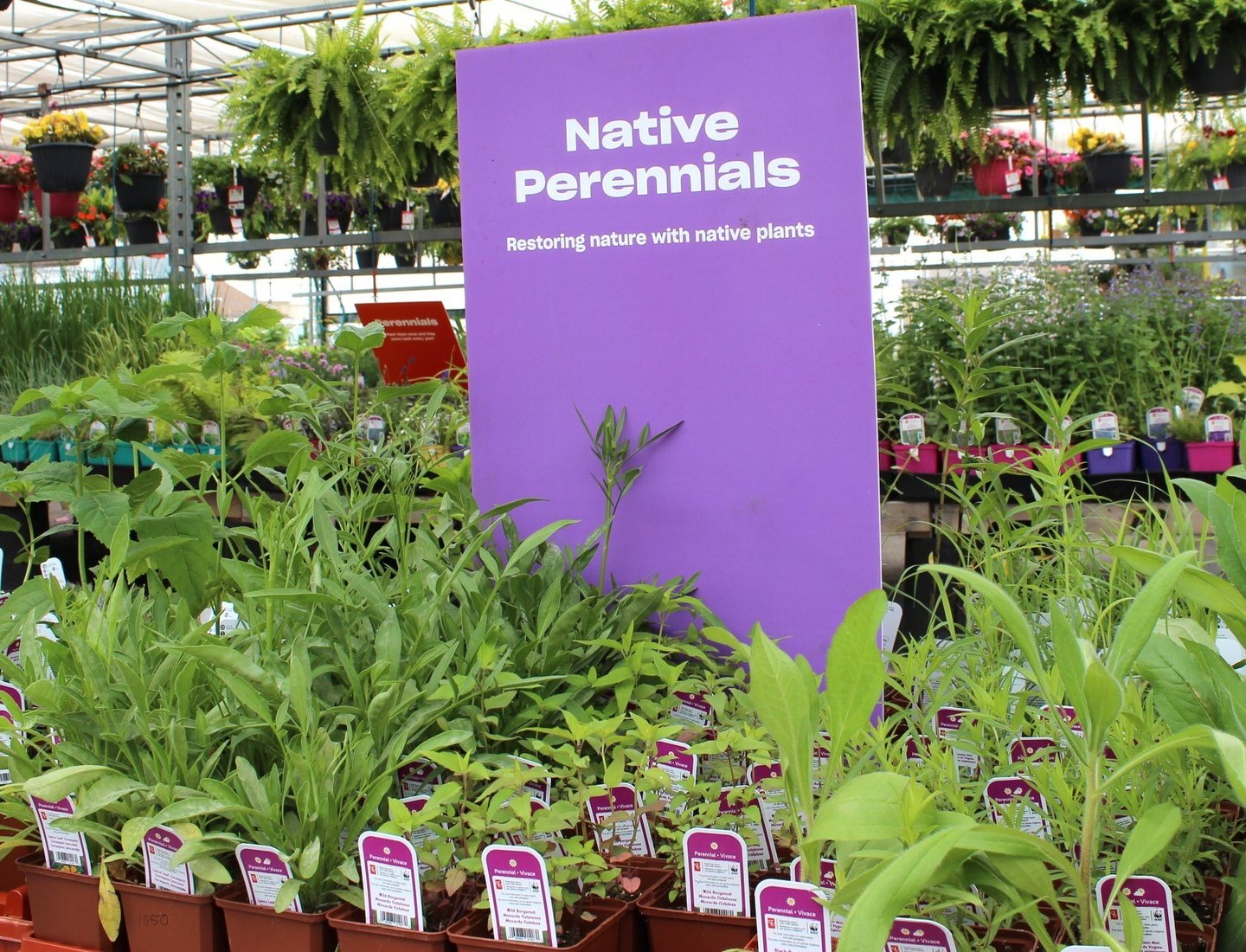 wwf canada native plants
