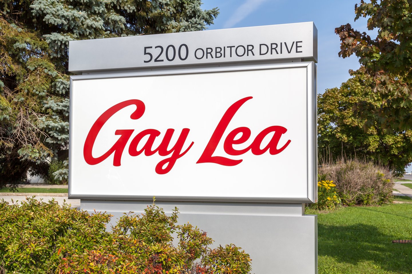 gay lea
