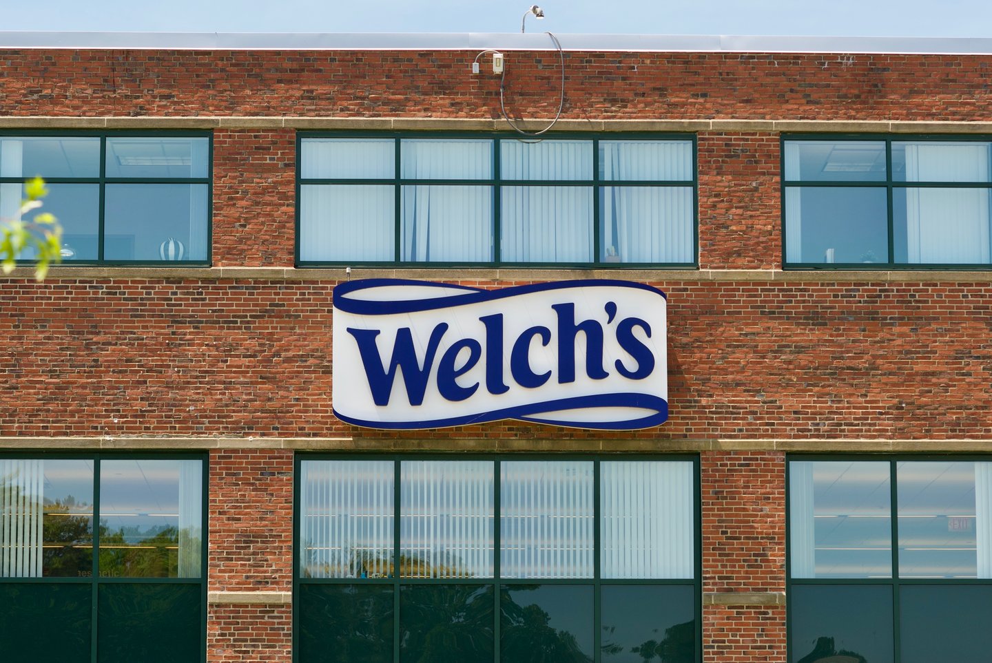 welch's