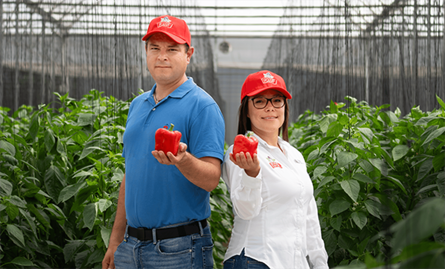 Workers holding bell peppers