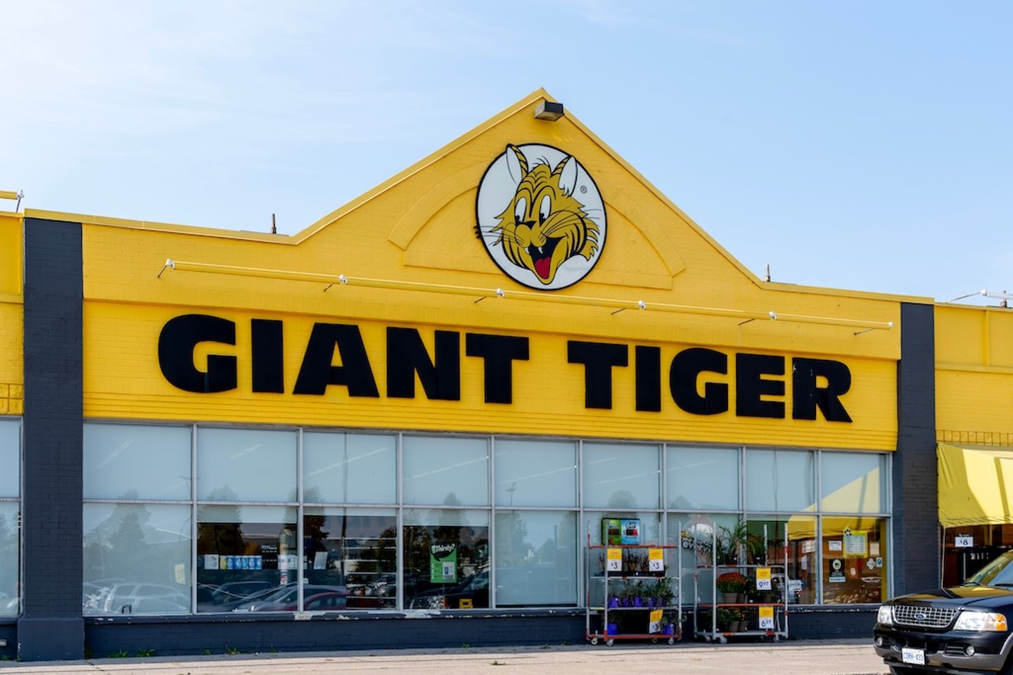 Giant Tiger 