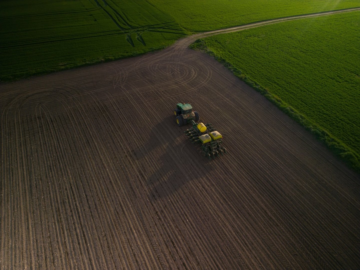 Tractor in a field