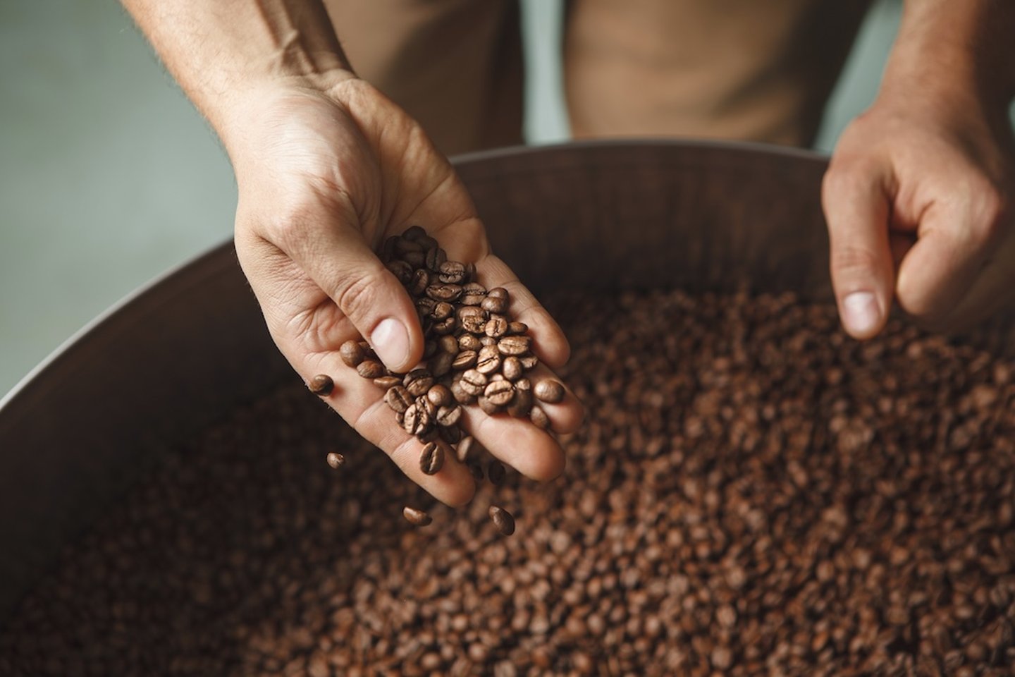 Hands sifting through coffee beans 