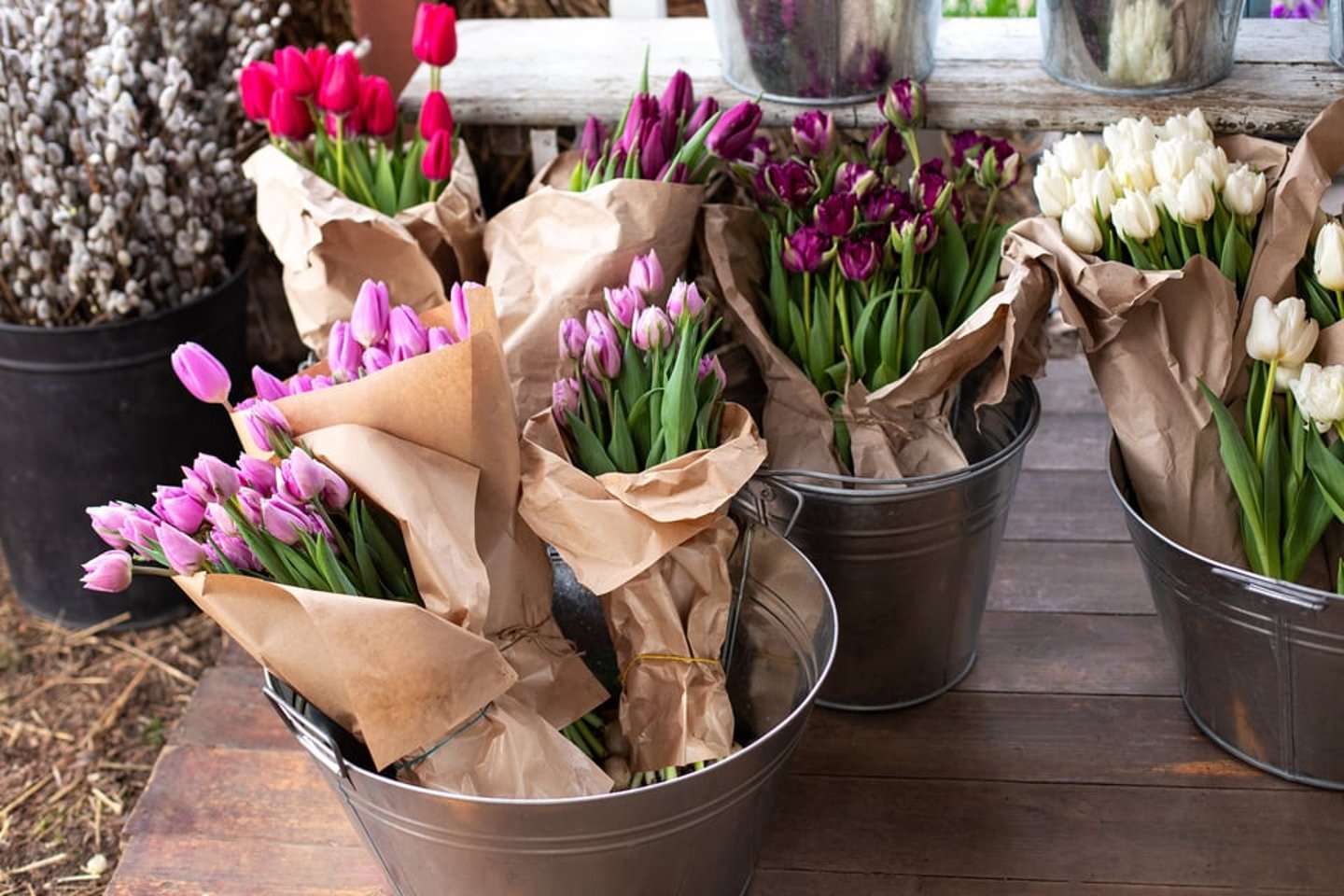 Buckets of tulips wrapped in brown paper