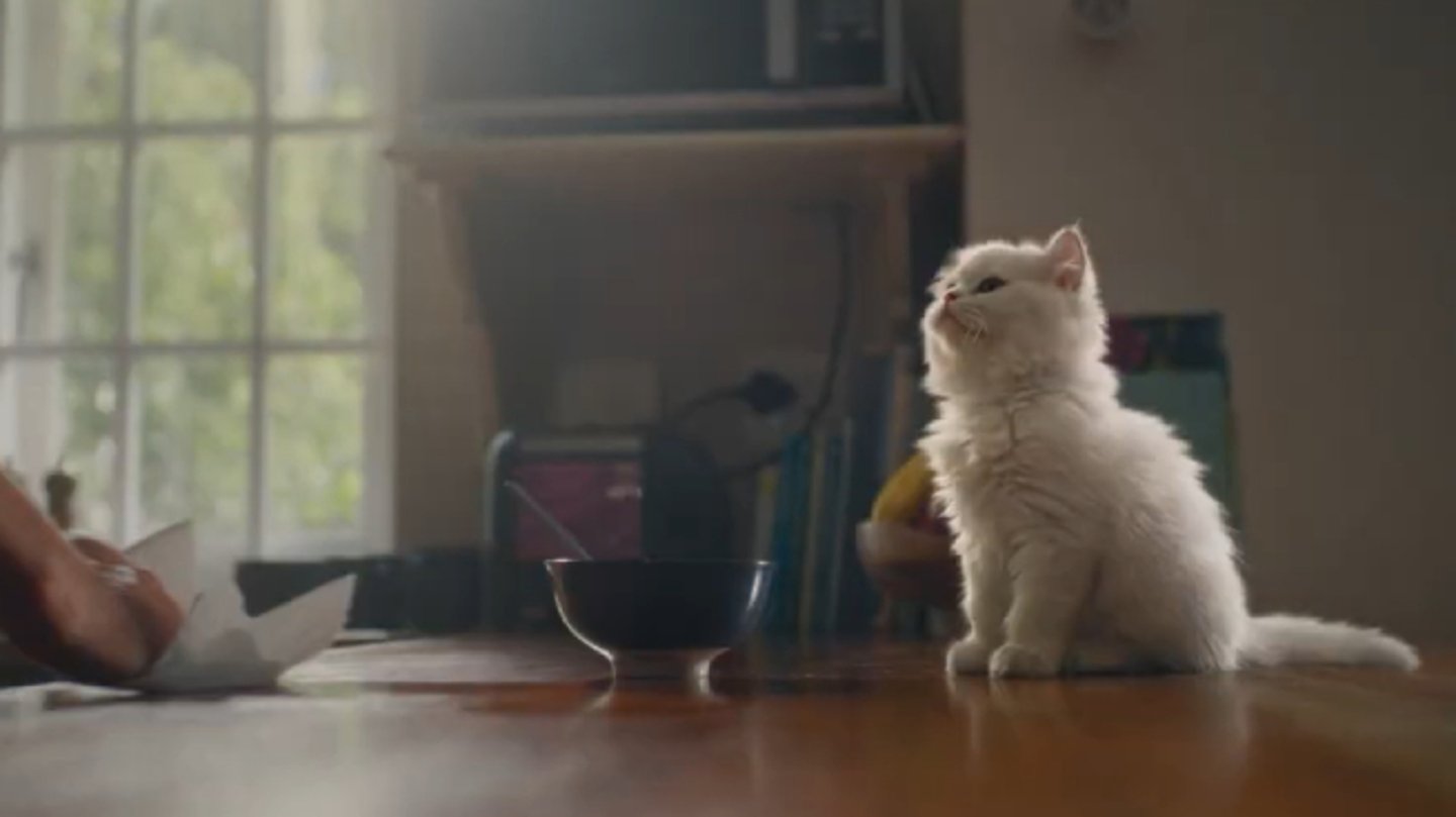 Royale There for All campaign