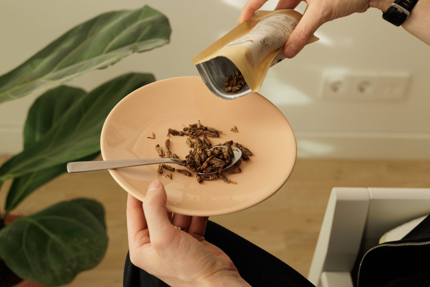 person snacking on insects