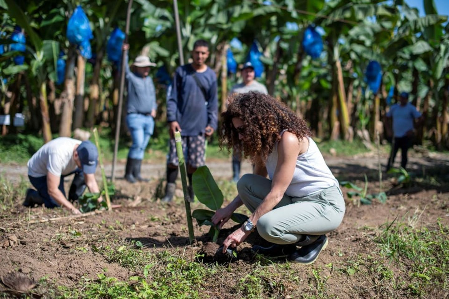 Sonya Gafsi Oblisk helped plant banana trees alongside Sourced for Good supplier EARTH University in Costa Rica