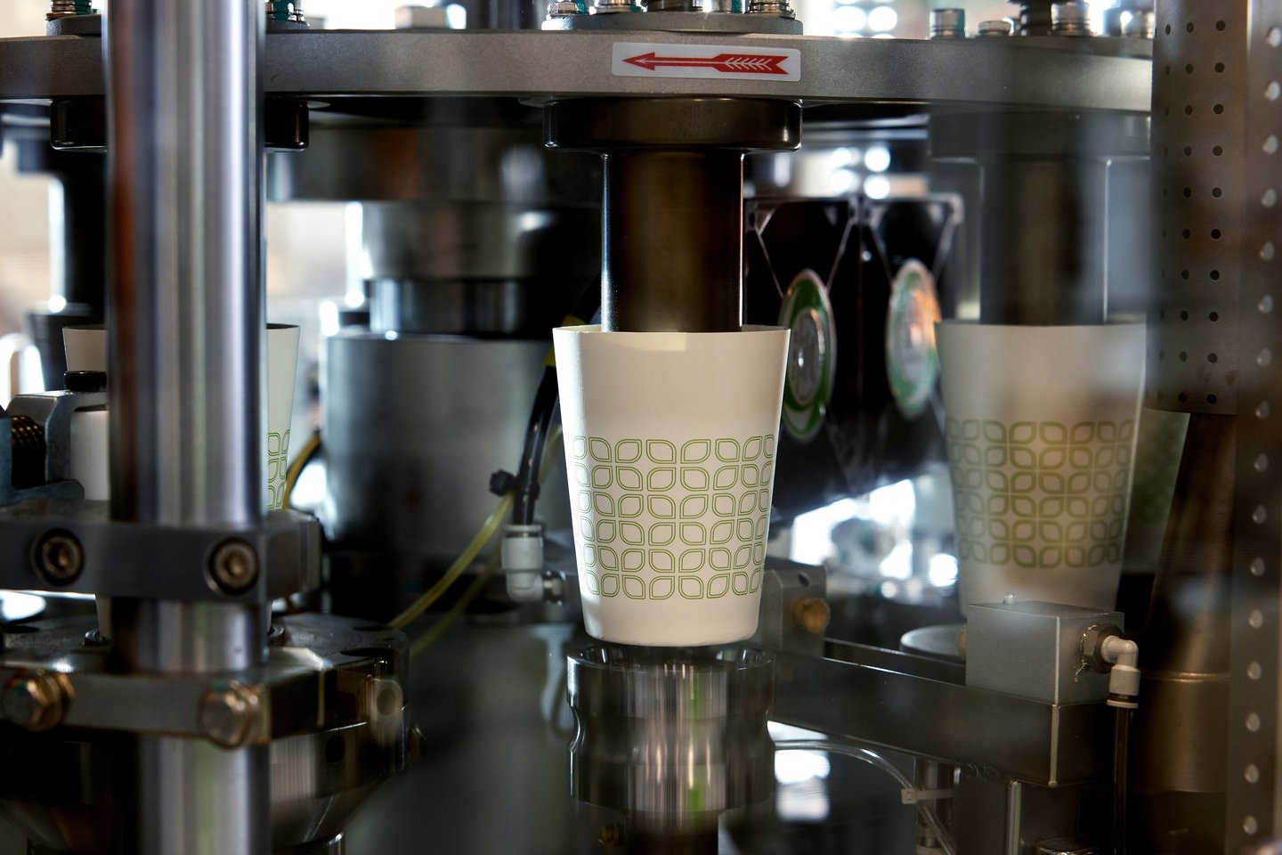 Eco Guardian compostable Guardian Green PLA lined Cup, made in Canada. Photography courtesy Eco Guardian Inc.