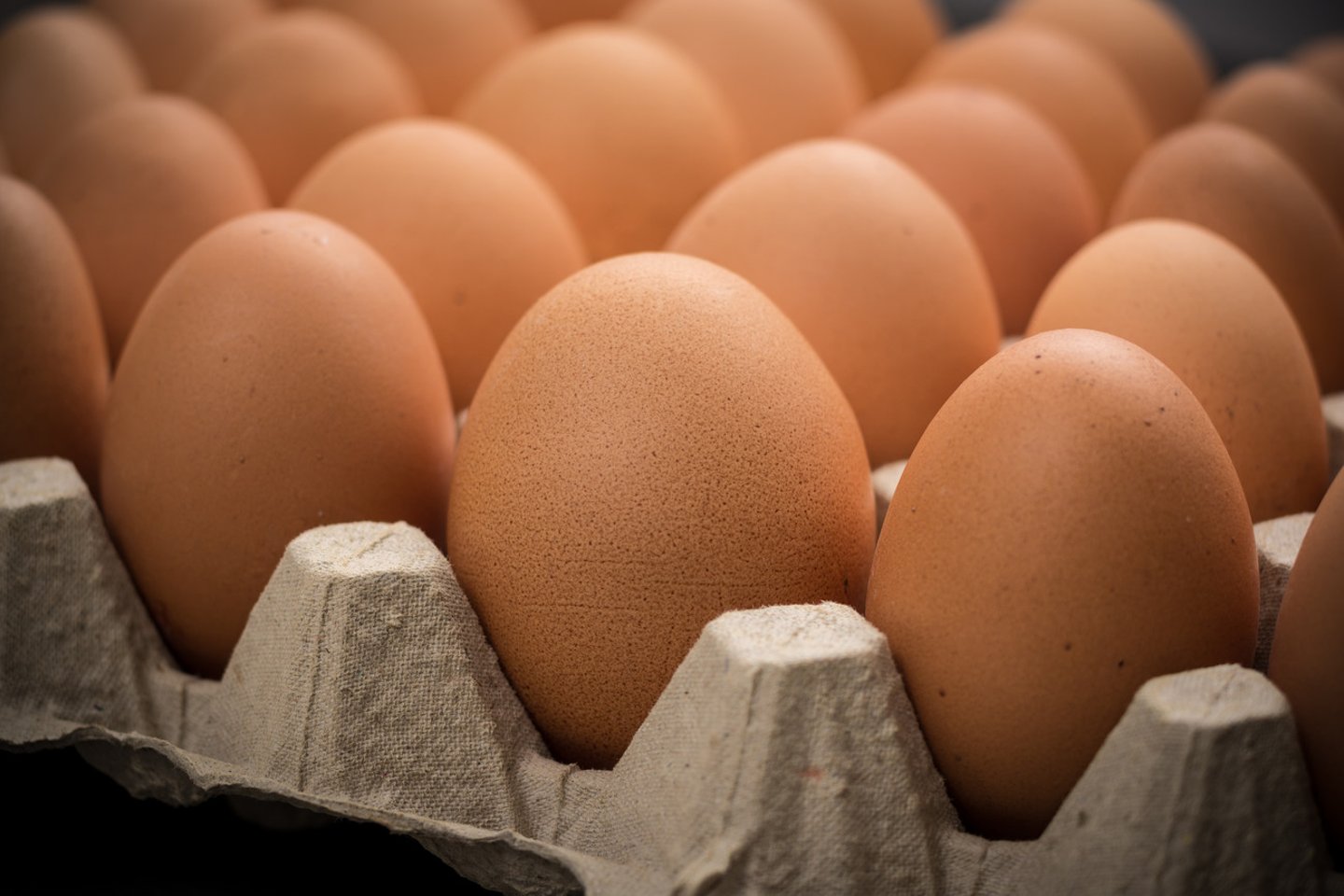 Brown cage-free chicken eggs in carton, close up; Shutterstock ID 1032569911