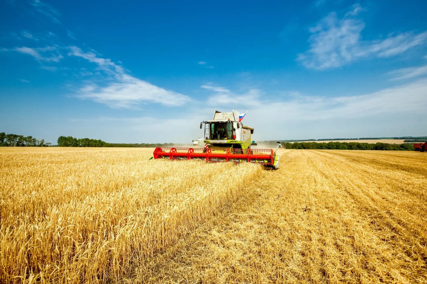 Combine harvester harvests wheat in the field. Agriculture background. Harvest season; Shutterstock ID 2188553509