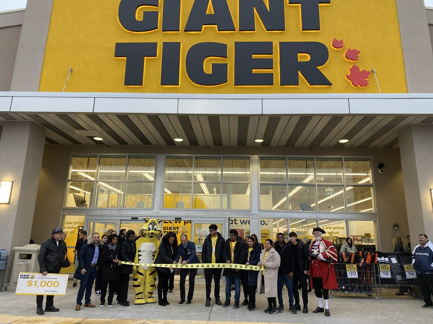 giant tiger vaughan