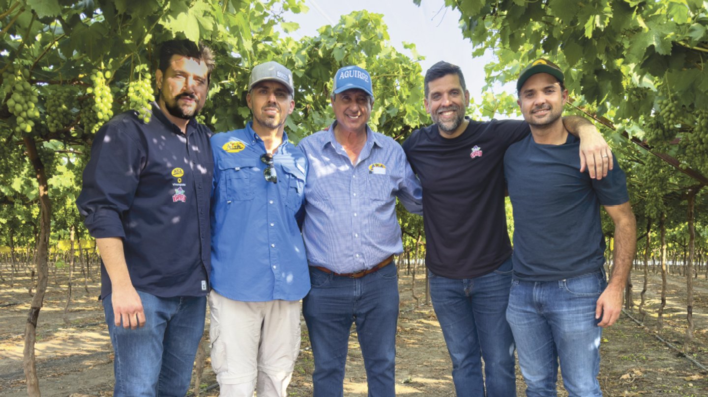 A group of men standing among grape-bearing plants