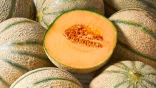 cantaloupe