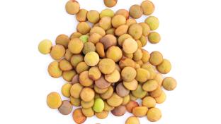 lentils