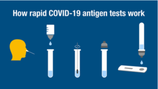 An illustration of how a rapid COVID-19 antibody tests work