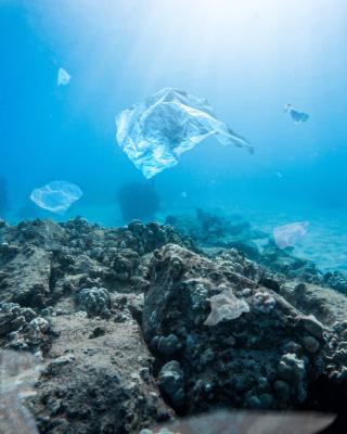 plastic-waste-floating-in-the-ocean
