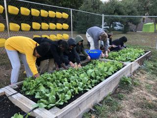 People working in a community garden
