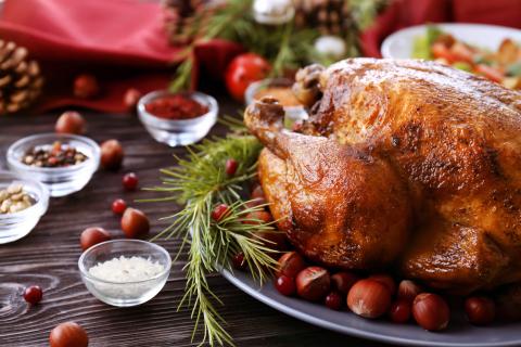 Tasty roasted turkey on plate