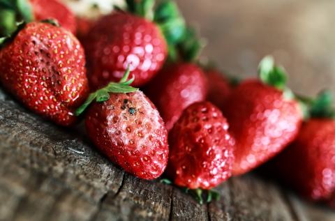 rotten strawberries concept gmo