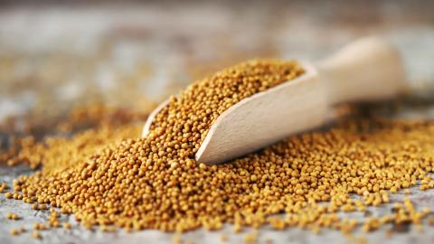 Grains of mustard. Mustard Seeds Vegan concept. Healthy diet. Selective focus. Macro.