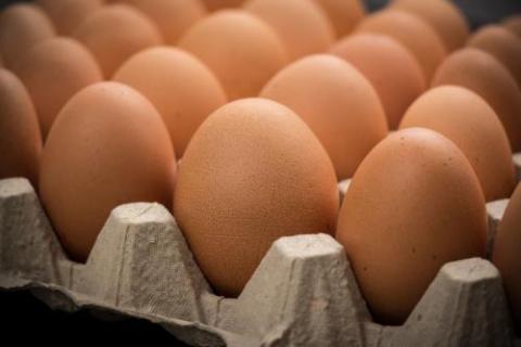 eggs