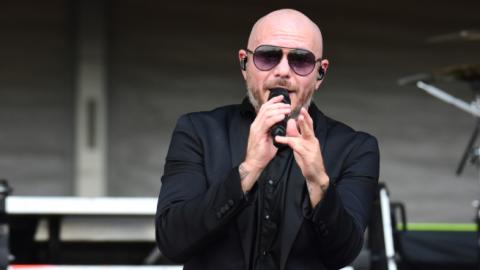 pitbull