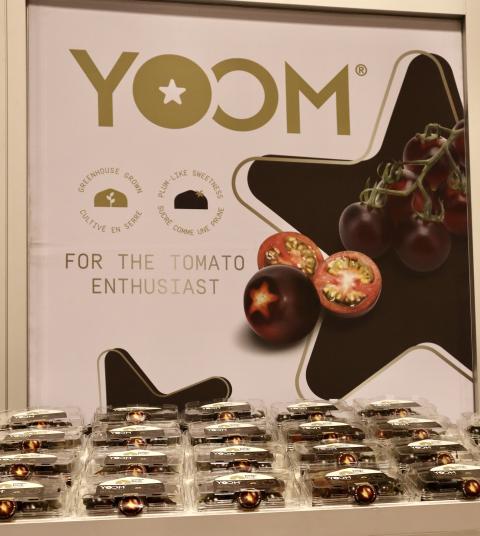 Yoom tomatoes