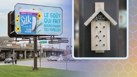 SIlk nest boxes living within billboards in Quebec