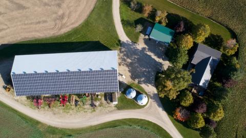 chicken Farm